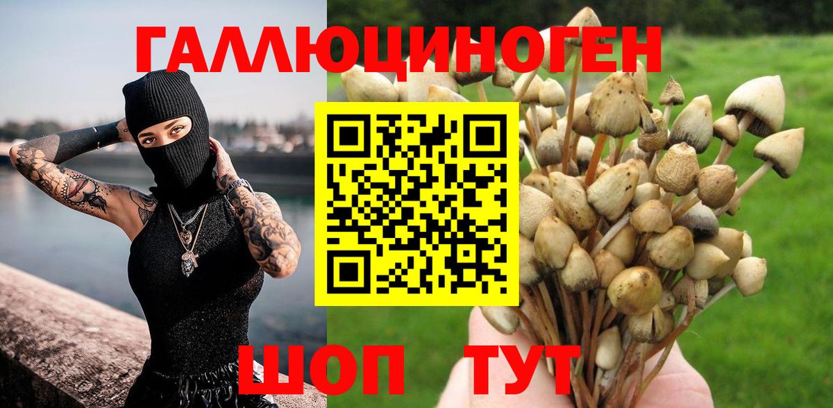Псилоцибиновые грибы прущие грибы Карталы