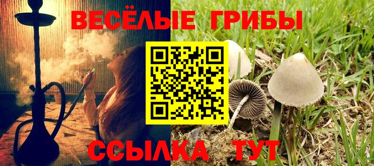 Псилоцибиновые грибы мухоморы  Вход с VPN  Галлюциногенные грибы прущие грибы  Карталы 